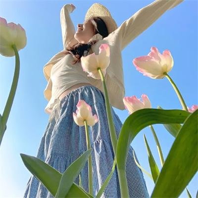 抬头见喜
