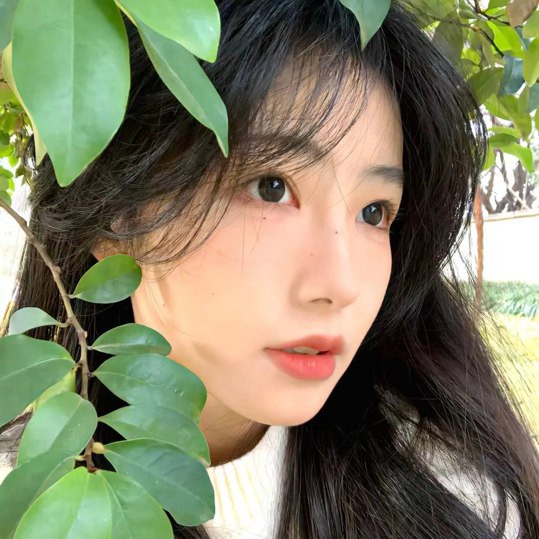 下载南茜
